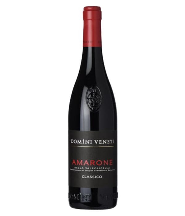 Domini Veneti Amarone Della Valpolicella Classico 2016